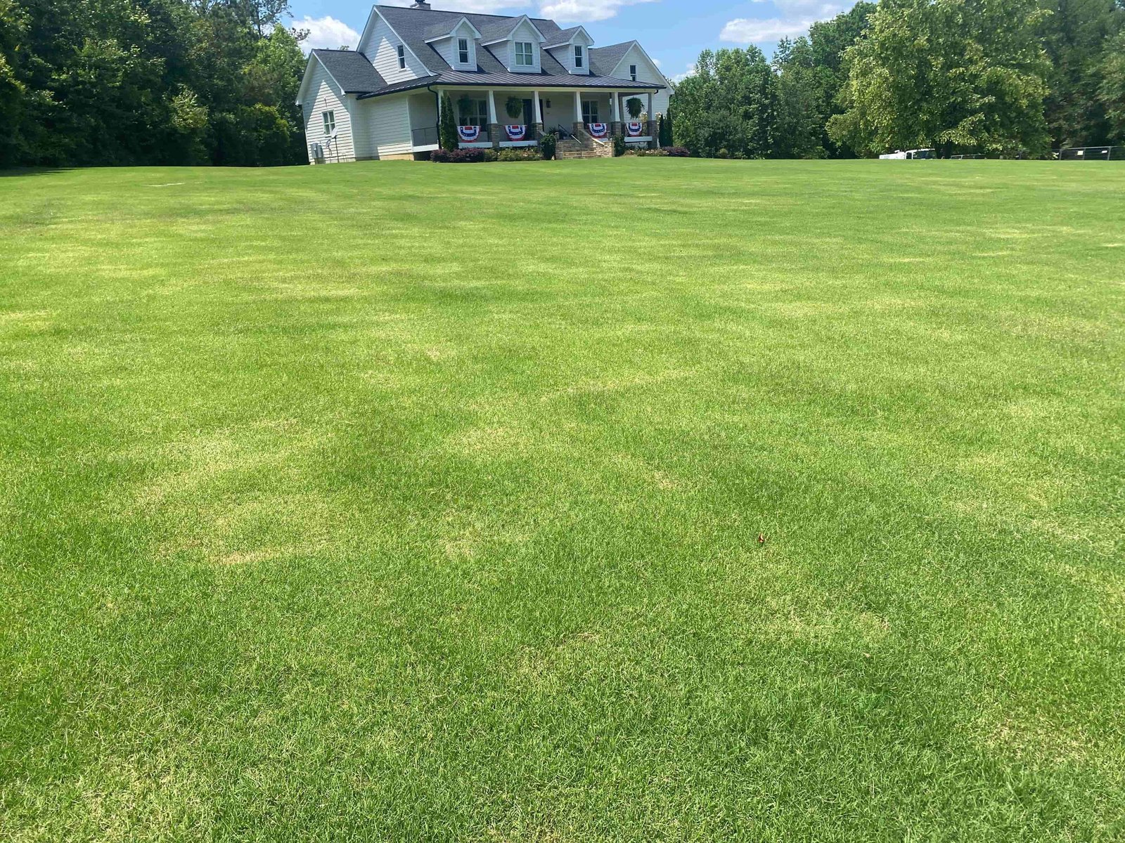 Before and after turf transformation